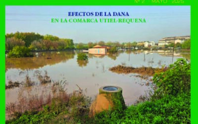 Portada Acuífero Vivo 2