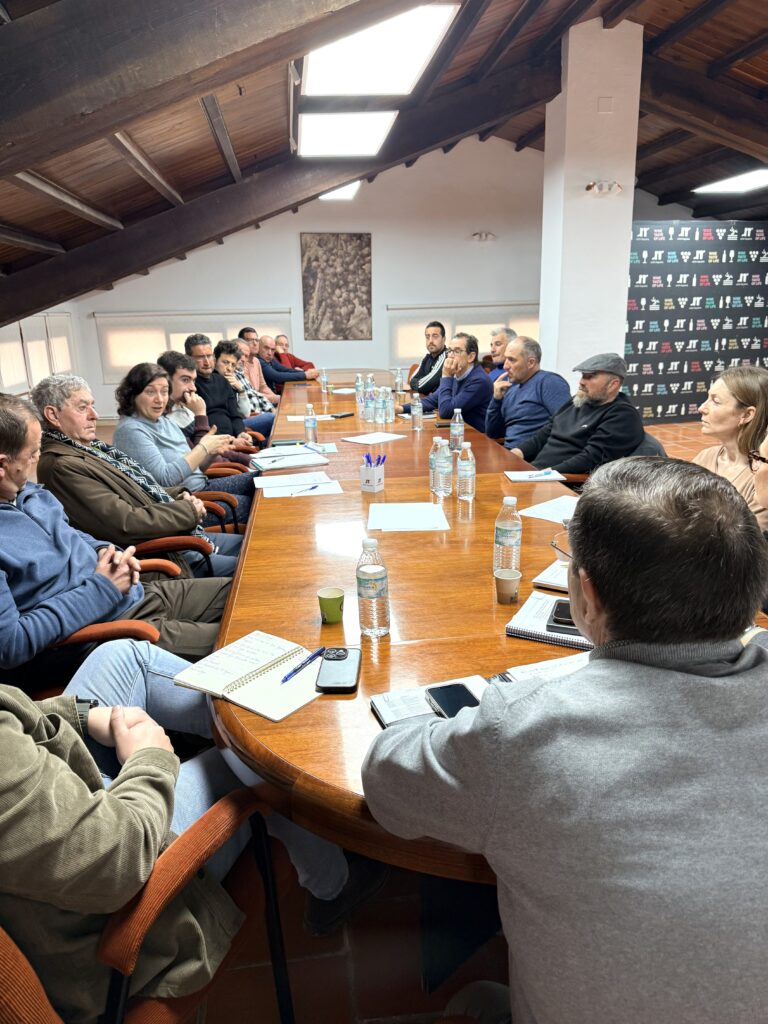 Reunión preparatoria de alegaciones